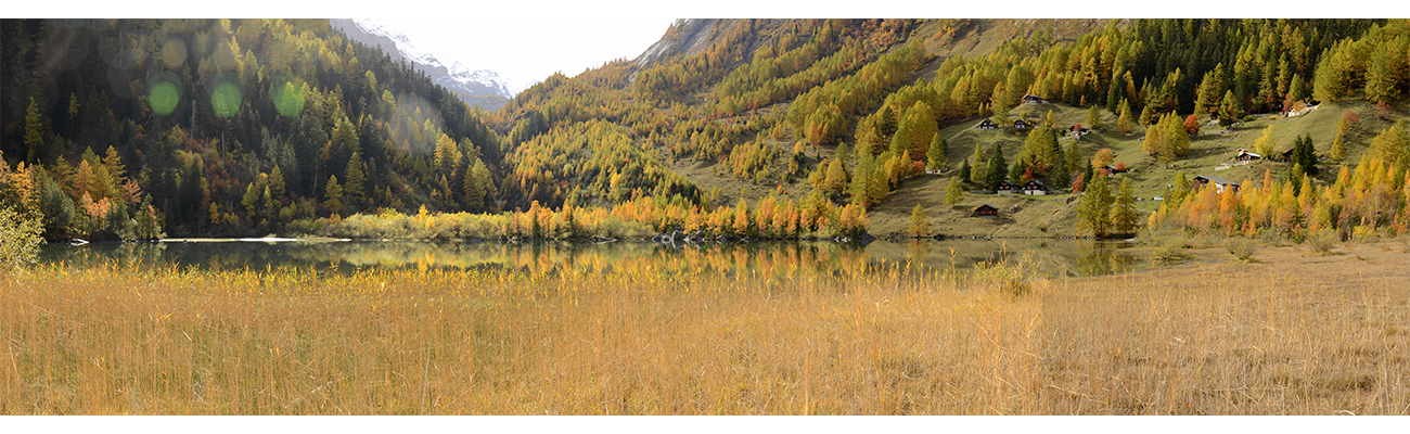 MBL Derborance  en tant qu'objet dynamique - 1